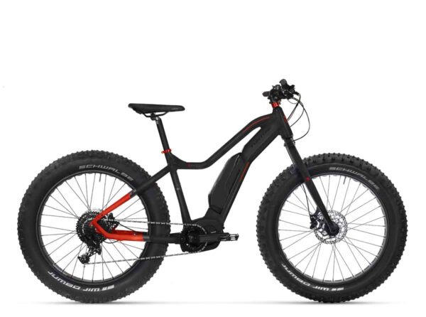 Tunturi eMAX SE sähköfatbike - 40